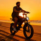 Electric Bike for Commuters: 48V 15.5 MPH Long-Range Power