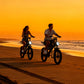 Electric Bike for Commuters: 48V 15.5 MPH Long-Range Power